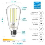 TJOY 12 Pack E26 Base Vintage LED Edison Light Bulbs, 60W Equivalent Dimmable, 4000K Natural White, 8W ST58 LED Filament Bulbs, 800Lumens, CRI80+, Antique Glass Style for Home, Bedroom, Farmhouse