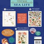 Brain Games – Sticker by Number – Vintage: Sea Life (28 Images to Sticker)