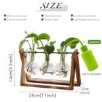 XXXFLOWER Plant Terrarium with Wooden Stand, Air Planter Bulb Glass Vase Metal Swivel Holder Retro Tabletop for Hydroponics Home Garden Office Decoration – 3 Bulb Vase