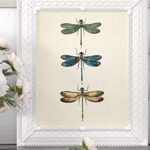 Vintage Three Dragonflies Illustration 11×14 Unframed Poster – Botanical Insect Art, Entomology, Scientific Nature Print, Minimalist Retro Decor for Home, Office, and Living Room, Educational Art